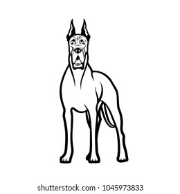 Great Dane dog - isolated outlined vector illustration