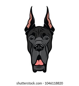 Great Dane dog - isolated vector illustration