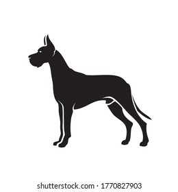 Great Dane dog - isolated vector illustration
