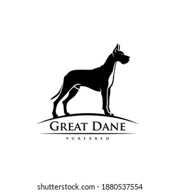 Great Dane dog - isolated vector illustration