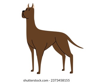 Great Dane dog. Pets, animals, canine theme design element in contemporary simple flat style. Vector cartoon Illustration isolated on the white background.