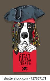 Great Dane Dog in a Pirate hat, bandana and with a dreadlocks. Vector illustration.