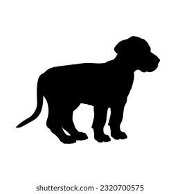 Great Dane Dog puppies silhouette. Baby dog silhouette. Puppy