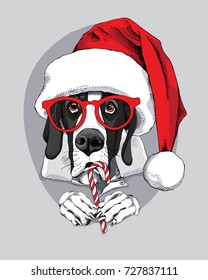 Great Dane Dog in a red big Santa's cap, glasses and with a christmas lollipop. Vector illustration.