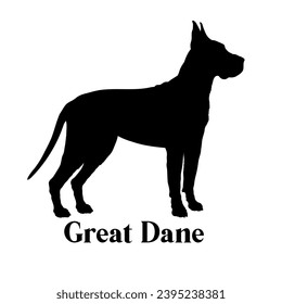 Great Dane Dog silhouette dog breeds logo dog monogram logo dog face vector