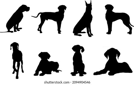 Great Dane Dog Silhouette Bundle SVG