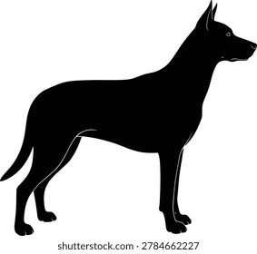Great dane dog silhouette in standing side profile animal illustration