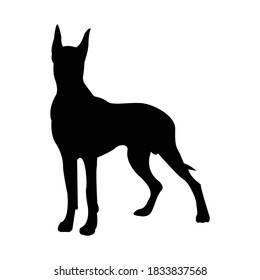 Great Dane Dog Silhouette Vector Illustration