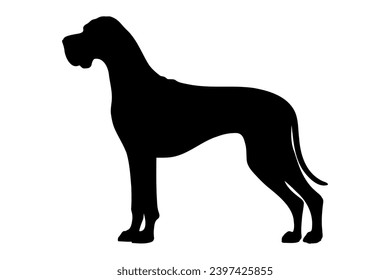 Great dane Dog silhouette. Vector illustration