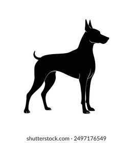 Great Dane Dog Silhouette vector illustration