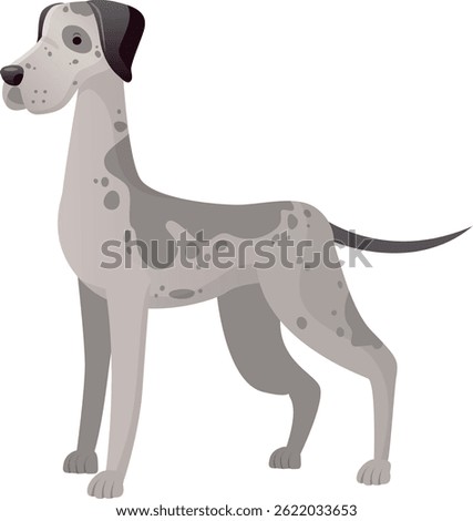 Great Dane dog standing in profile, showing its black head and gray spotted body, a large and powerful breed known for its gentle nature and imposing size