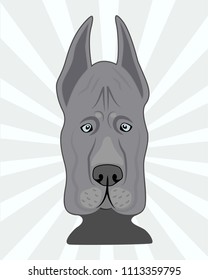 Great dane dog. Vector illustration