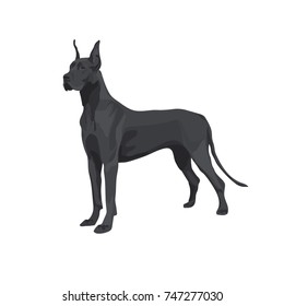 Great Dane Dog Vector Illustration Isolated Stock Vector (Royalty Free ...