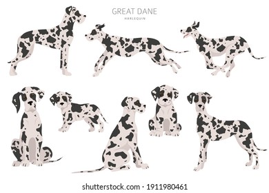 Perros de baile grandiosos en diferentes poses. Juego de cachorros de dane para adultos y grandes.  Ilustración del vector