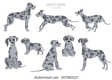 Perros de baile grandiosos en diferentes poses. Juego de cachorros de dane para adultos y grandes.  Ilustración del vector