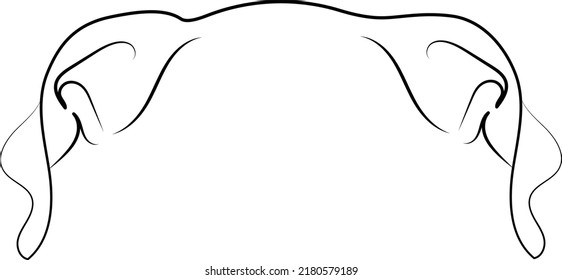 Great Dane ears isolated outlined vector illustration