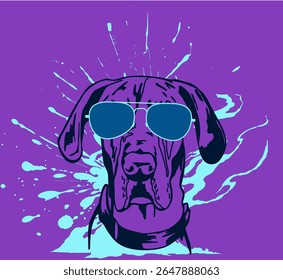 Great Dane in glasses, dog's face, t-shirt print, pet portrait, paint splatters on purple background. Vector. Funny animal