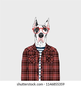 Great Dane Hipster Portrait, Fashion Dogs