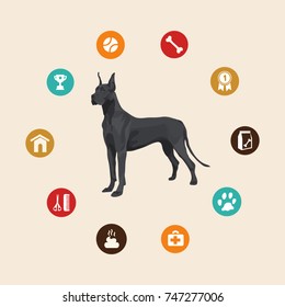 Great Dane infographic illustration vector icons set.