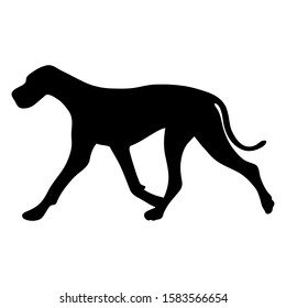 great dane Isolated vector illustration  silhouette breed dog dog show use on banners business cards postcards icon advertising black on white run stand sporty elegant grace animal 