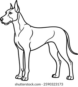 Great Dane line drawing graceful and powerful