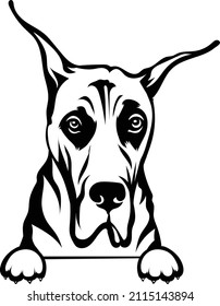 Great Dane Peeking Dog Great Dane Outlines Black And White Great Dane Silhouette Cricut Vector Image EPS 