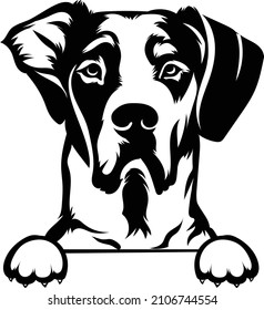 Great Dane Peeking Dog And Paws Vector Image 