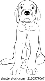 Great Dane puppy isolated outlined vector illustration