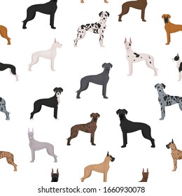 Great dane seamless pattern. Different variaties of coat color dog set.  Vector illustration