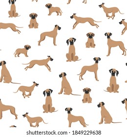 Great dane seamless pattern. Different variaties of coat color dog set.  Vector illustration