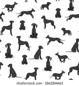 Great dane seamless pattern. Different variaties of coat color dog set.  Vector illustration