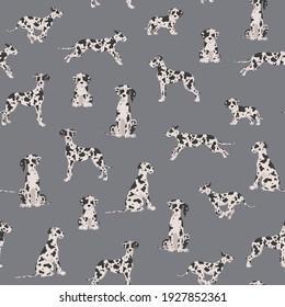 Great dane seamless pattern. Different variaties of coat color dog set.  Vector illustration