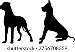 Great Dane silhouettes vector illustration