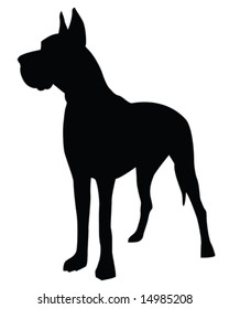 great dane vector illustration