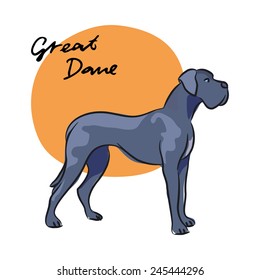 Great Dane, vector illustration