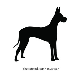 Great Dane Vector Illustration