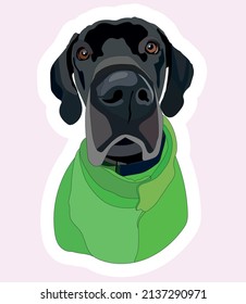 Great dane. Vector illustration (for print on clothes)