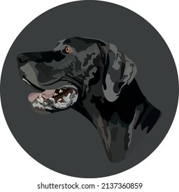 Great dane. Vector illustration (for print on clothes)