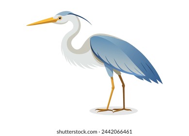 Great egret Bird vector illustration on white background