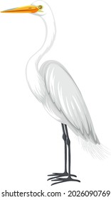 Great Egret in cartoon style on white background illustration