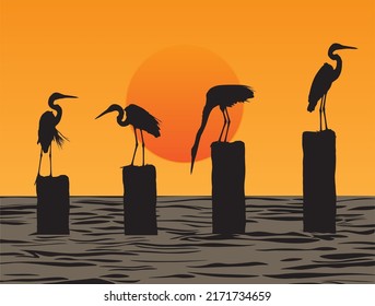 Great Egret Silhouette in Sunset (Vector)