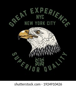 great experience.Eagle head t shirt print design eps.10