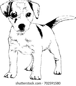 great guard dog drawn with ink on white background logo tattoo