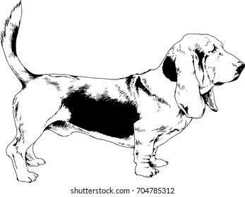 great guard dog drawn with ink on white background logo tattoo