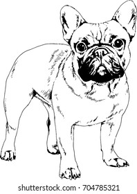 great guard dog drawn with ink on white background logo tattoo