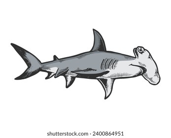 Gran boceto de tiburón martillo de pez animal de engrase estilo de dibujo a mano color ilustración vectorial. Imitación del estilo de la tabla de rayas. Imagen dibujada a mano en blanco y negro.