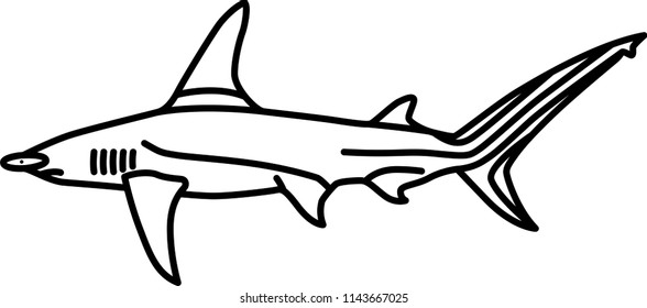 29 Smooth hammerhead Stock Illustrations, Images & Vectors | Shutterstock