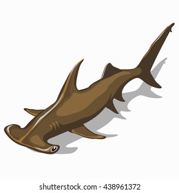 Great Hammerhead Shark isolated on white background. Vector illustration.