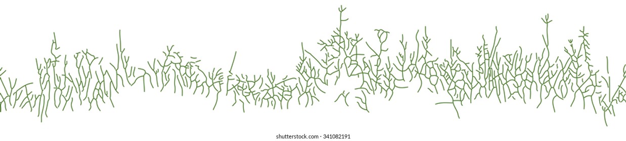 Great horizontally seamless vector background with grass or herb in linear drawing style