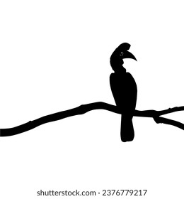 Gran silueta de pájaro de cuerno encaramada en la silueta de árbol de rama. Ilustración vectorial